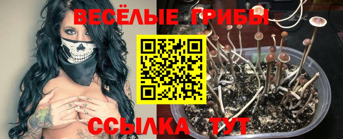 Псилоцибиновые грибы ЛСД Ишим