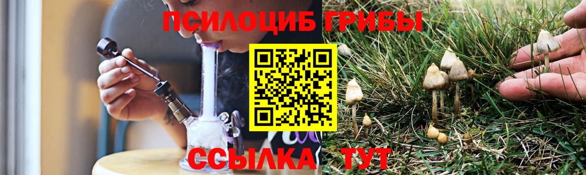 наркота  Вход с VPN  Ишим  Псилоцибиновые грибы MAGIC MUSHROOMS  Псилоцибиновые грибы Psilocybe 