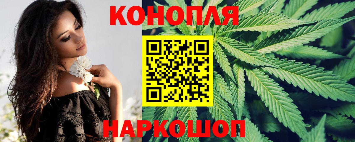 Шишки марихуана марихуана Ишим